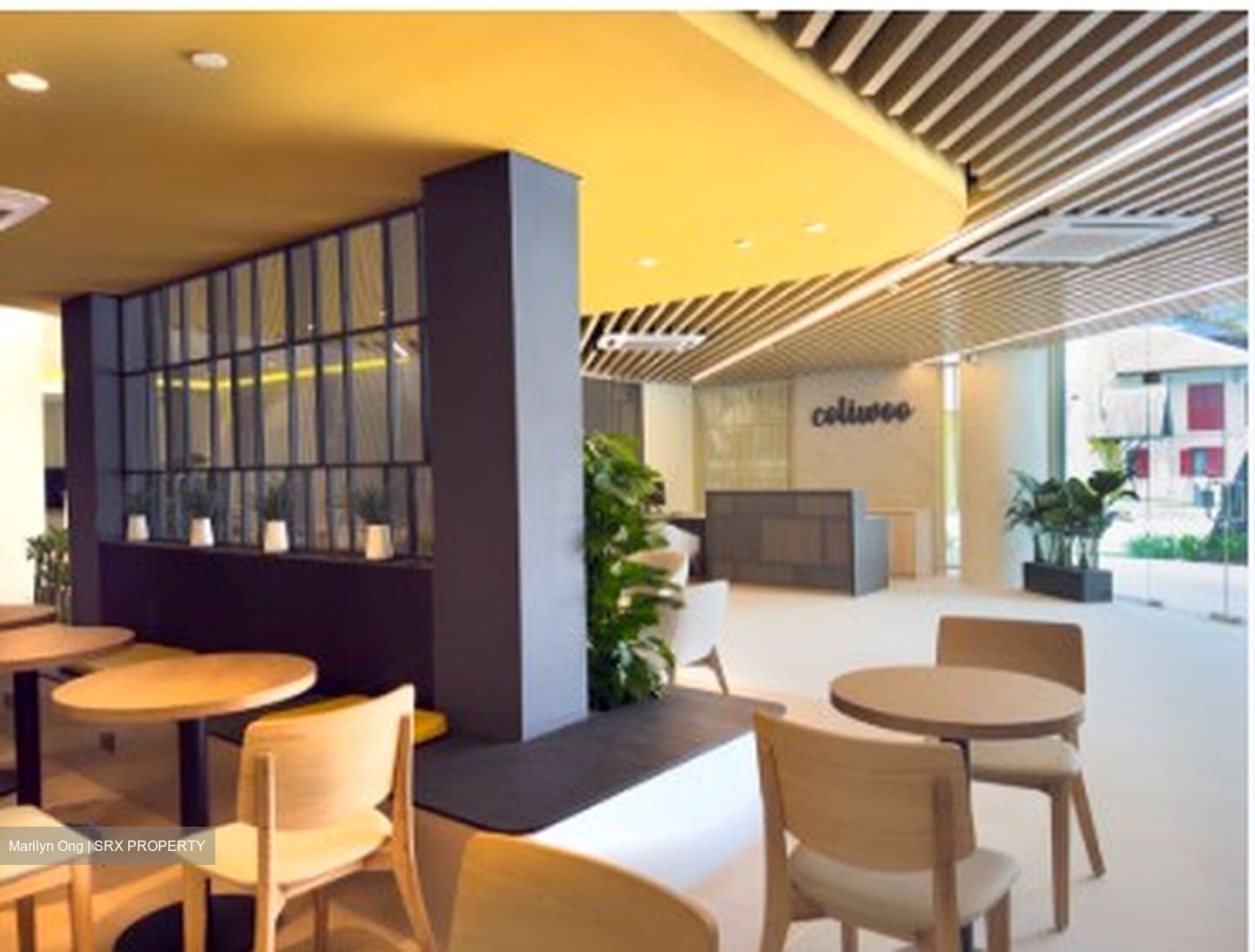 Coliwoo Midtown (D7), Apartment #546982331